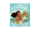Tonies Disney - Vaiana (französisch)